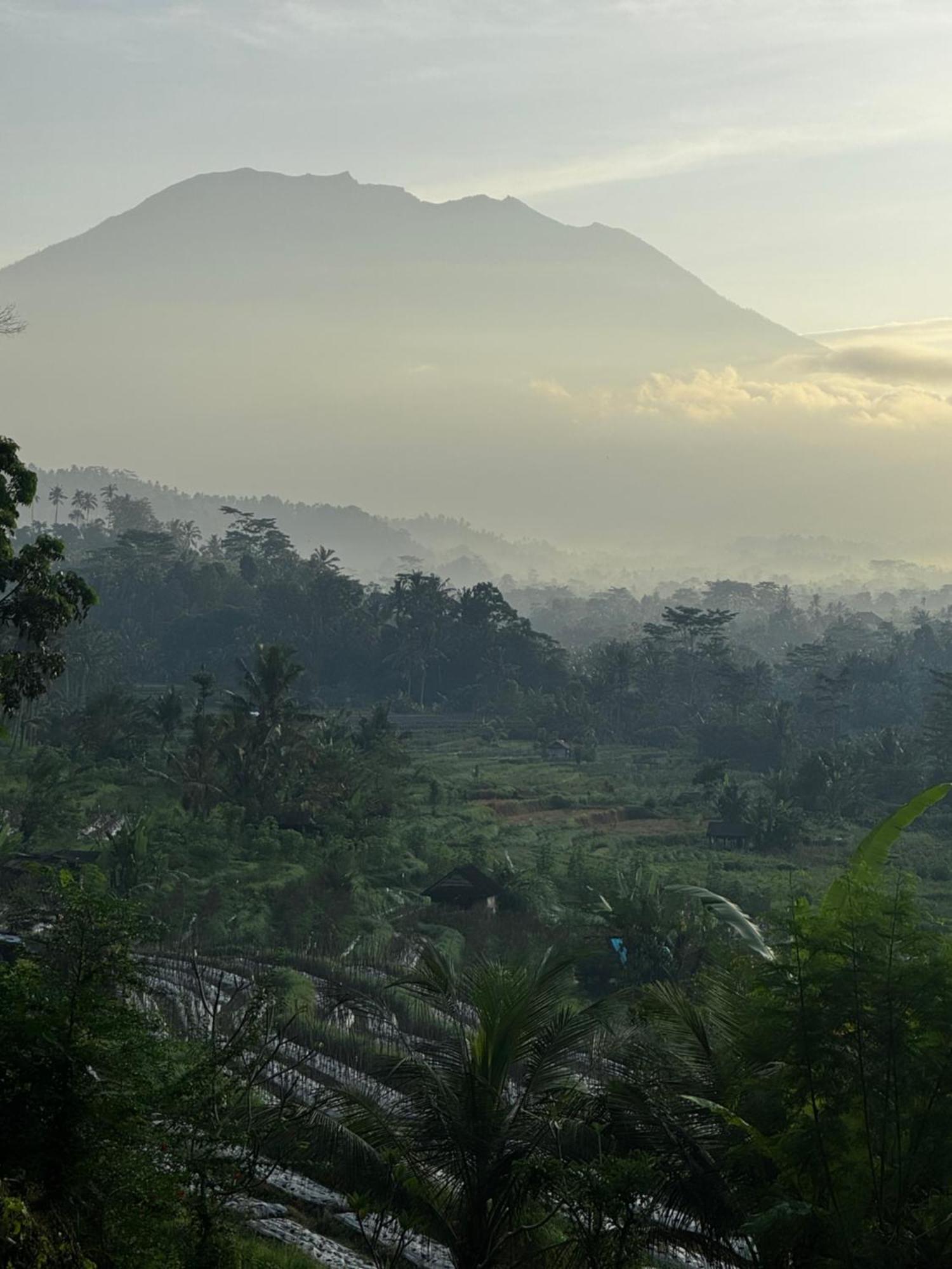Lumbung Ayu Sari And Spa Sidemen (Bali) Exterior foto